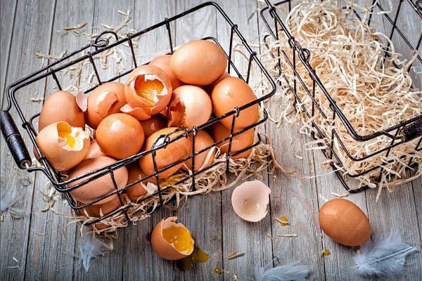 Bỏ hết trứng vào một giỏ: Nên hay không | Atabook.com