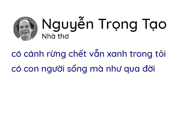 Nguyễn Trọng Tạo - Đồng dao cho người lớn